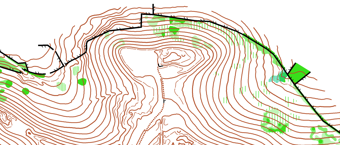 BD contour veg
